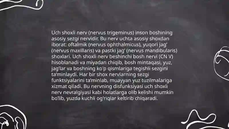 Uch shoxli nerv, birinchi, ikkinchi, uchinchi shoxlari tuzulishi va uning inervatsiya zo`nalari 3