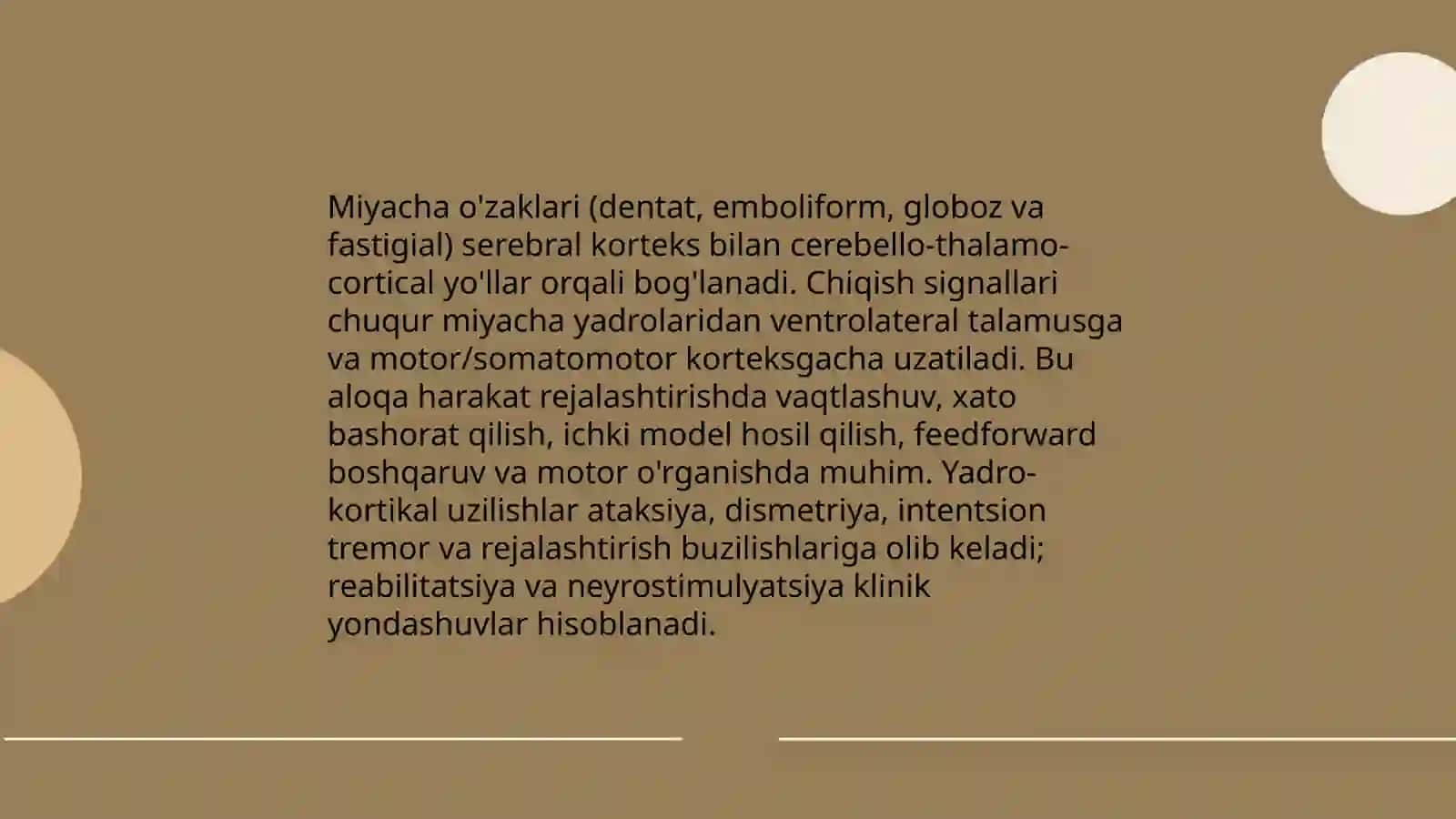 Miyacha o'zaklarining anatomik tuzilishi 3