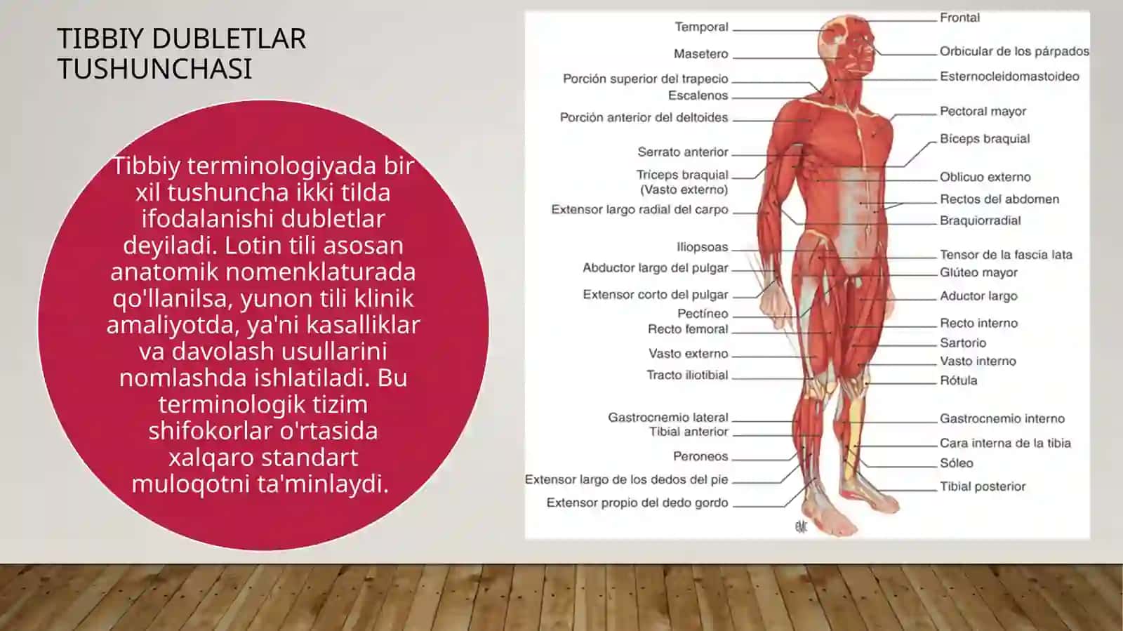 yunonvalotindubletlari.Organlardagivato'qimalardagigipatologiko'garishlarni,terapevtikvaxirurgikusullarniifodalovchiyunonatamaelementlari 3