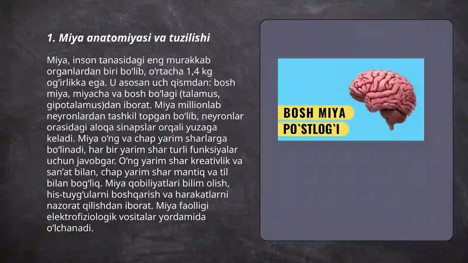 Bosh miya turli bo'limlari faoliyatini o'rganish fiziologiyasi 3