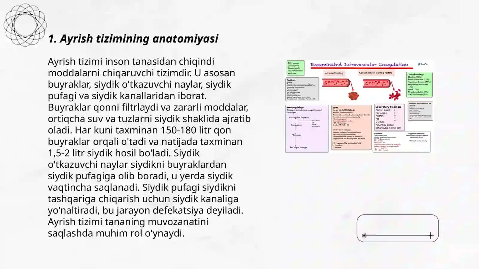 Ayrish tizimi filogenezi va buzilishlari 3