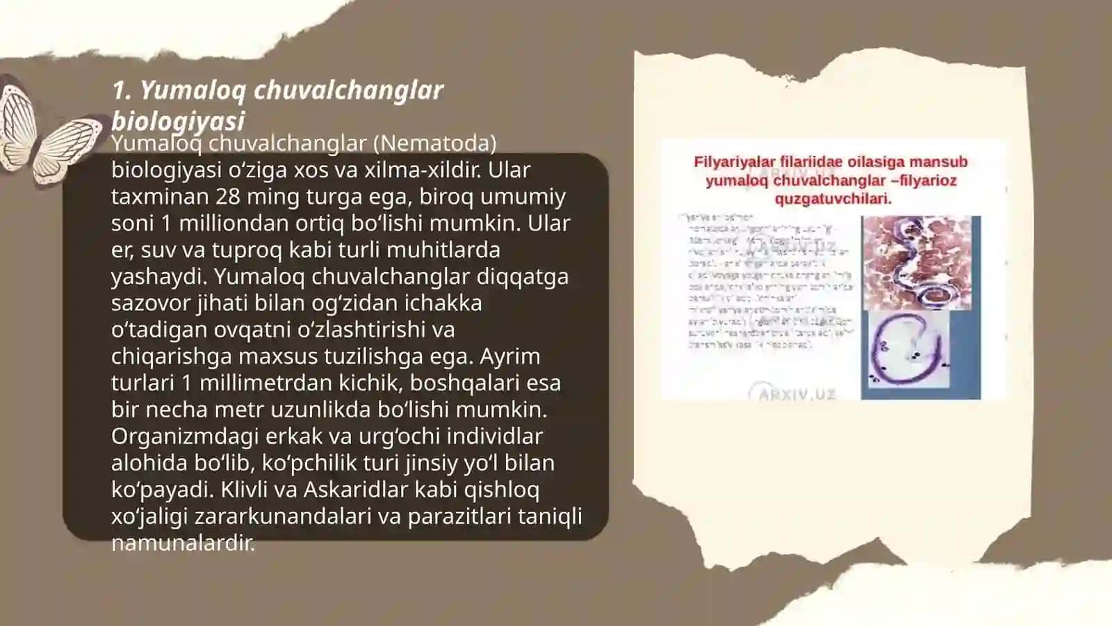 Yumaloq chuvalchanglar biologiyasi 3