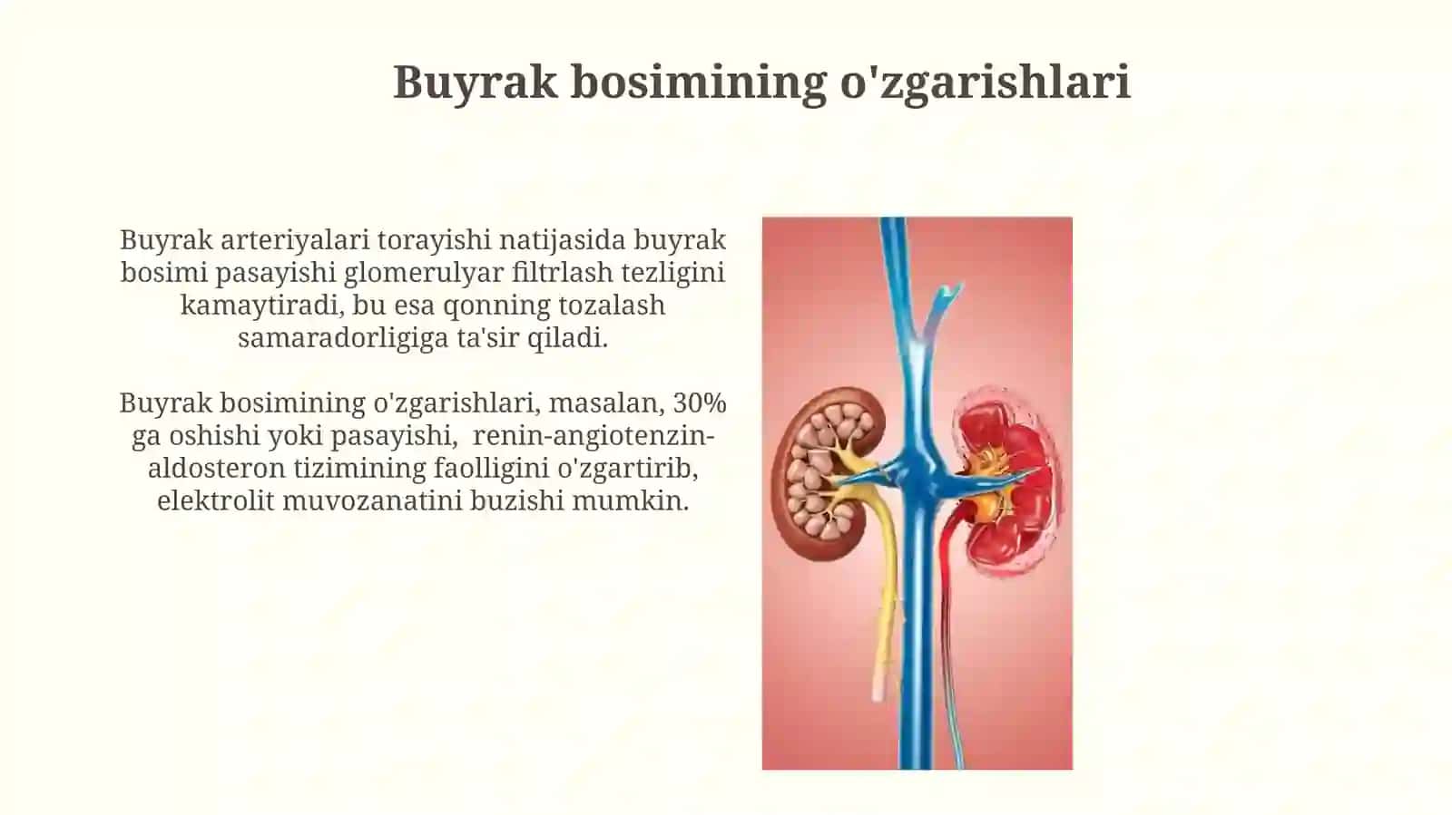 Buyraklar faoliyatining o'ziga xosligi va "Buyraklar bosimi" 3