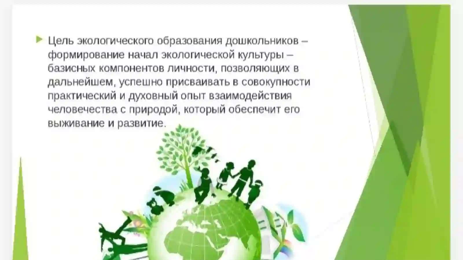 Наглядные пособия и их роль в экологическом воспитании детей. Игра как метод экологического васпитания 3