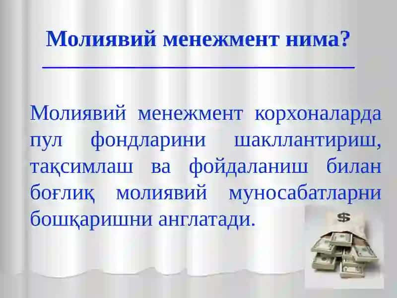 Молиявий менежментнинг иқтисодий моҳияти, принциплари, мақсад ва вазифалари 3