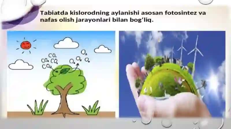 BOTANIKA VA O'SIMLIK FIZIOLOGIYASI FANIDAN 3