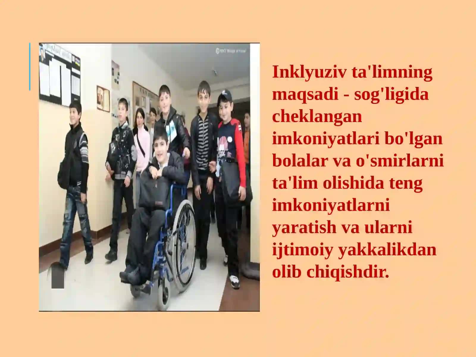 Inklyuziv ta'limga kiritishning asosiy tamoyillari 3