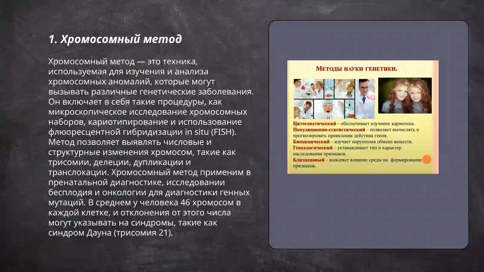 Методы изучения генетики человека: цитогенетический и популяционная статистические методы 3