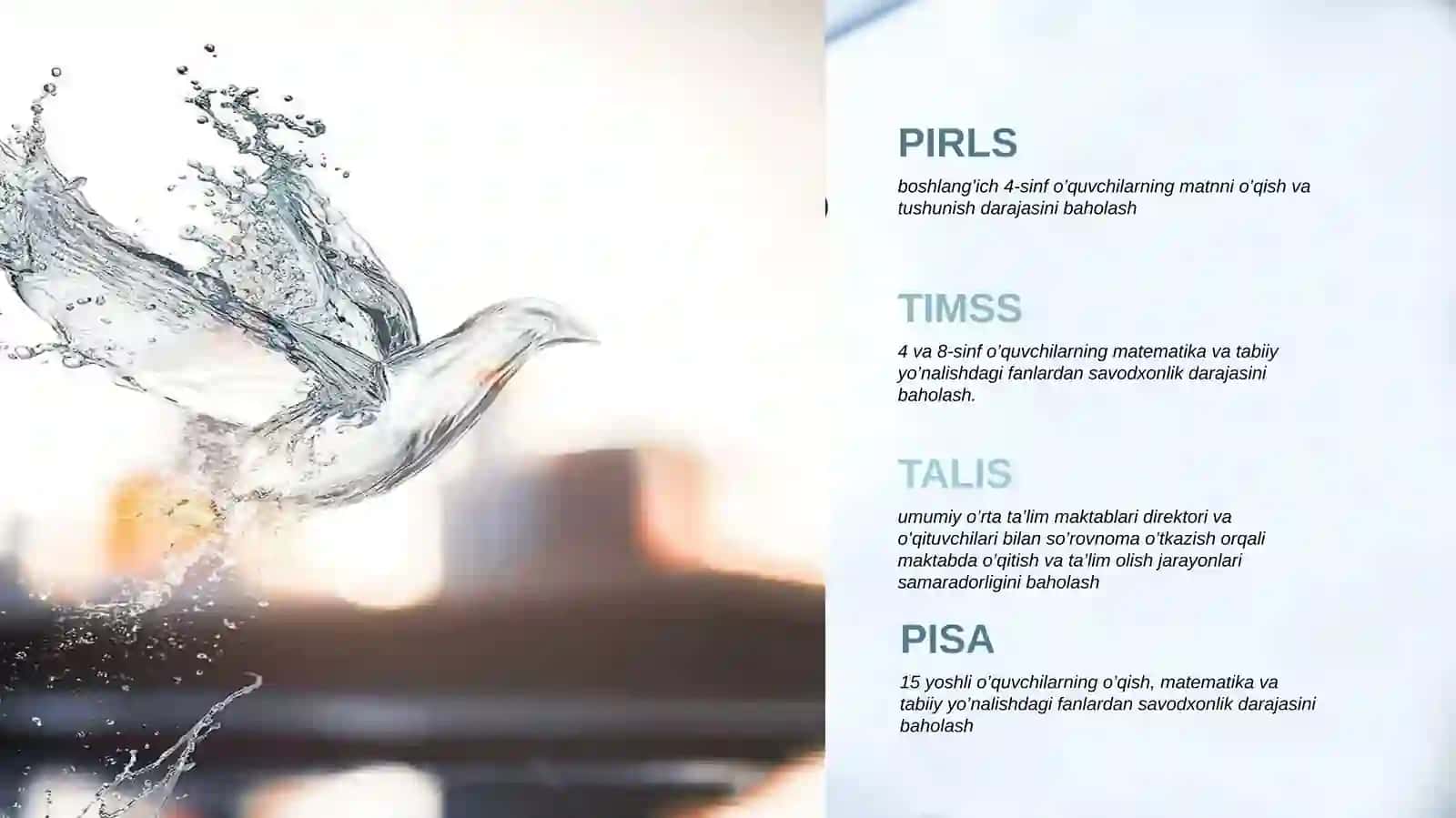 Matn va uni ustida ishlash bo'yicha PISA topshiriqlari 3