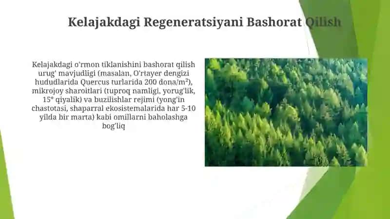 Kelajakdagi Regeneratsiyani Bashorat Qilish 3
