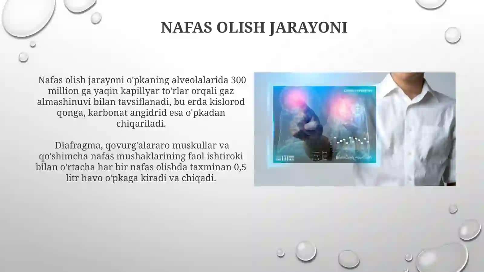 Nafasolish jarayoni. Nafasa'zolarining rentgen anatomiyasi va rivojlanish nuqsonlari 3