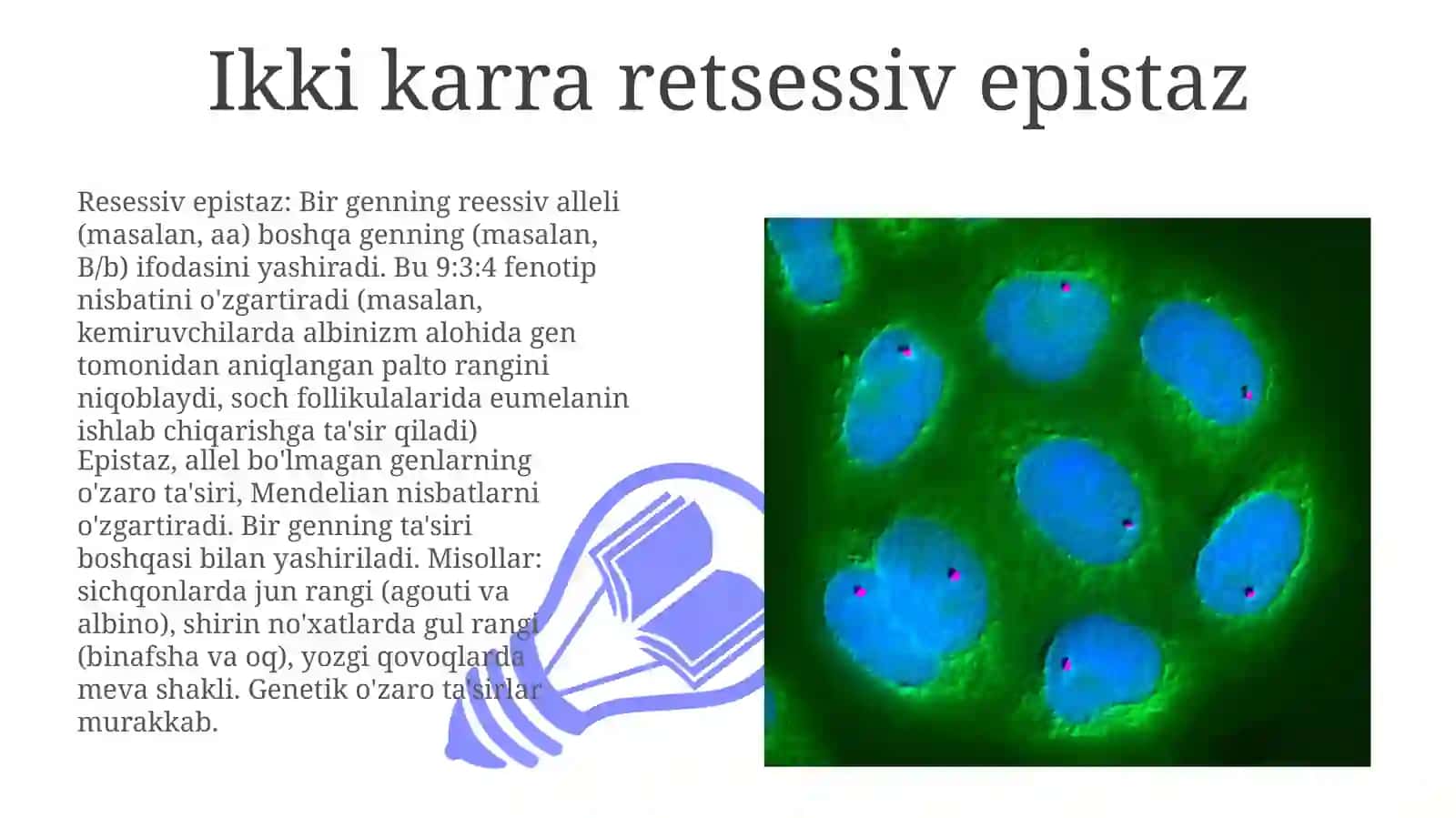 Epistaz, allel bo'lmagan genlarning o'zaro ta'siri, Mendelian nisbatlarni o'zgartiradi 3