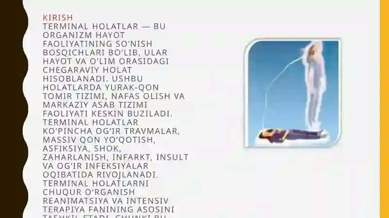 Terminal holatalar 3