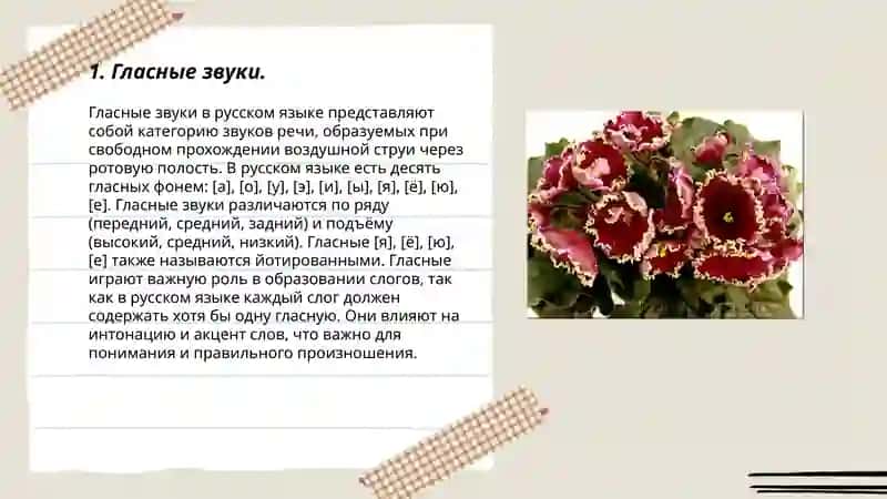 Звуки современного литературного языка.Классификация звуков речи 3