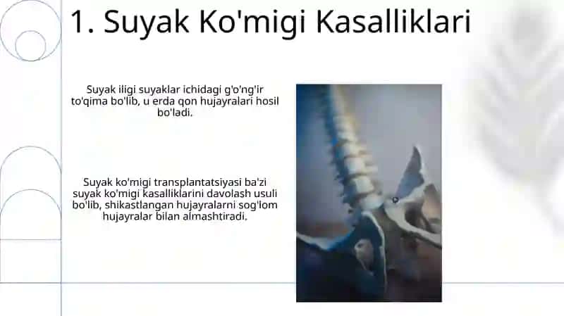 Bosh suyagi 3