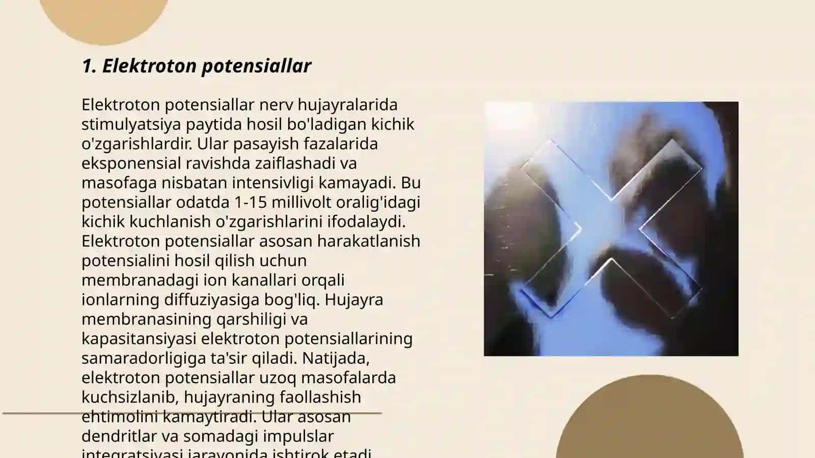 Fiziologik elektroton xodisasi.Silliq mushaklarning fiziologiyasi 3