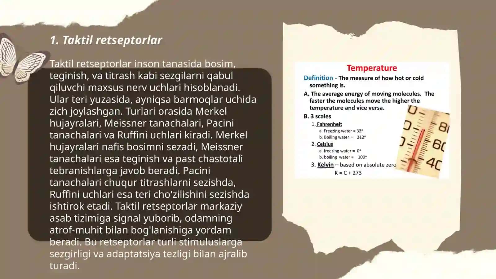 Taktil va harorat retsepsiyasi 3