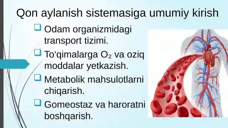QON AYLANISH SISTEMASINING FIZIK ASOSLARI 3