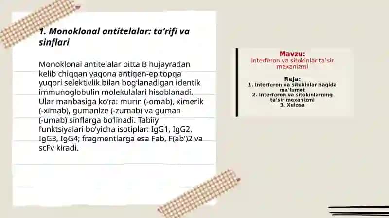 Monoklonal antitelalar va tibbiyot amaliyotlarida qo'llanilishi 3