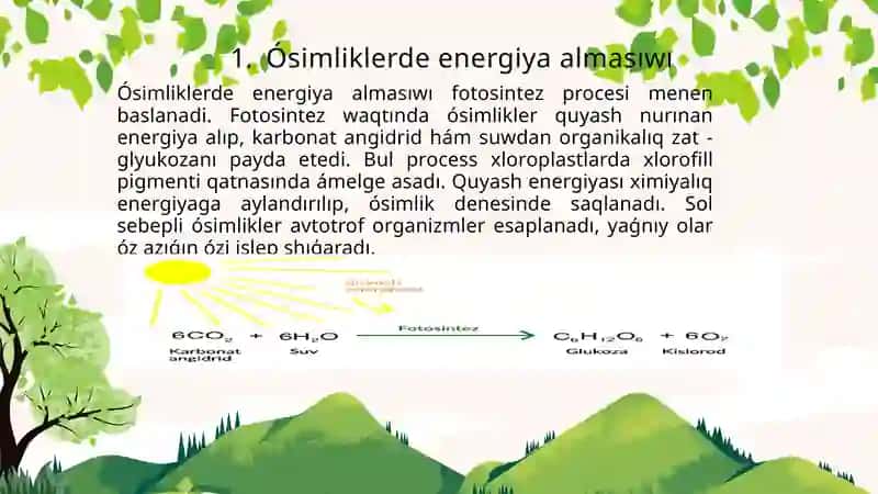 Haywanlar hám ósimliklerde energiya almasıwı parqı 3