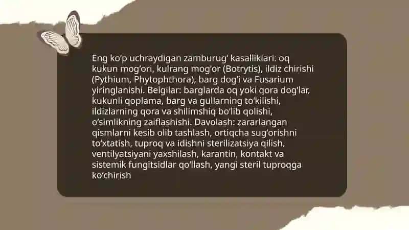 Xona oʻsimliklarida uchraydigan kasalliklarga qarshi kurashish 3