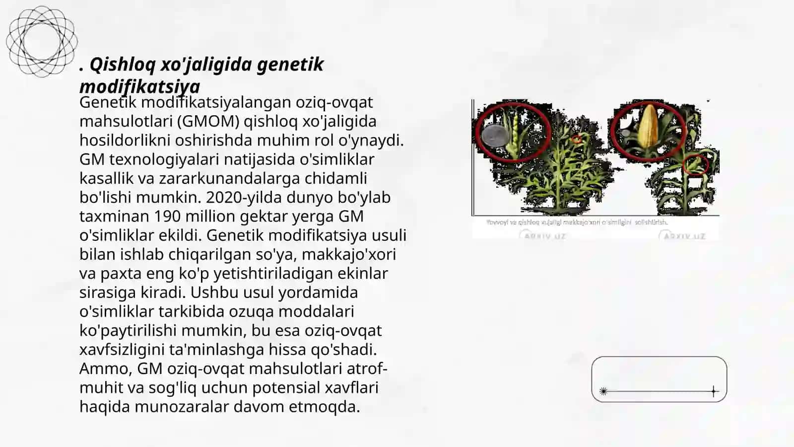 Genetik Injeneriya Qo'llanilish Sohalar 3