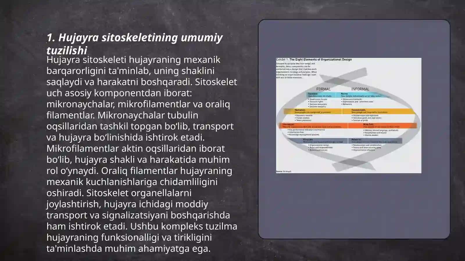 Hujayra sitoskeletining strukturaviy va funksional tashkil etilishi 3