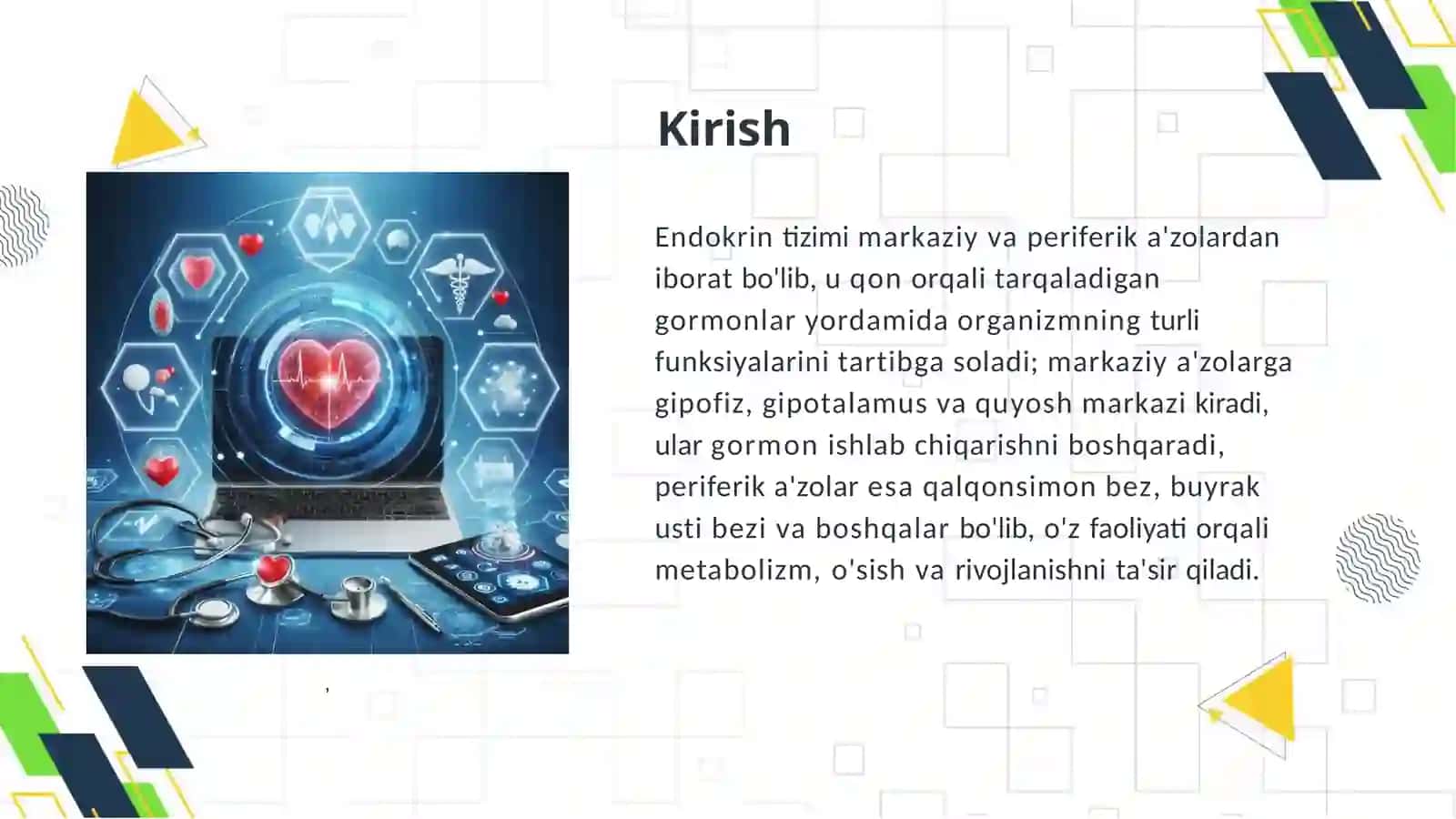 Endokrintizimia'zolari:markaziyvaperiferik a'zolar 3