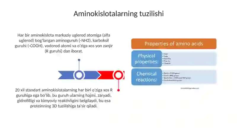 Aminokislotalar va oqsillar ularning xossalari 3