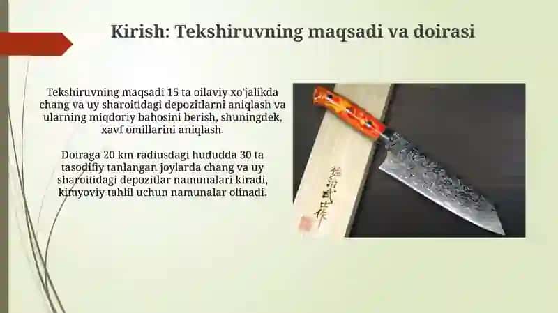 Pudrat va xo'jalik usulida bajariladigan ital qo'yilmalar auditi 3