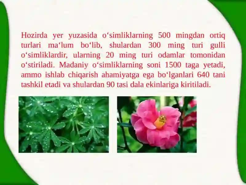 O’simlikshunoslikning tabiiy biologik asoslari 3