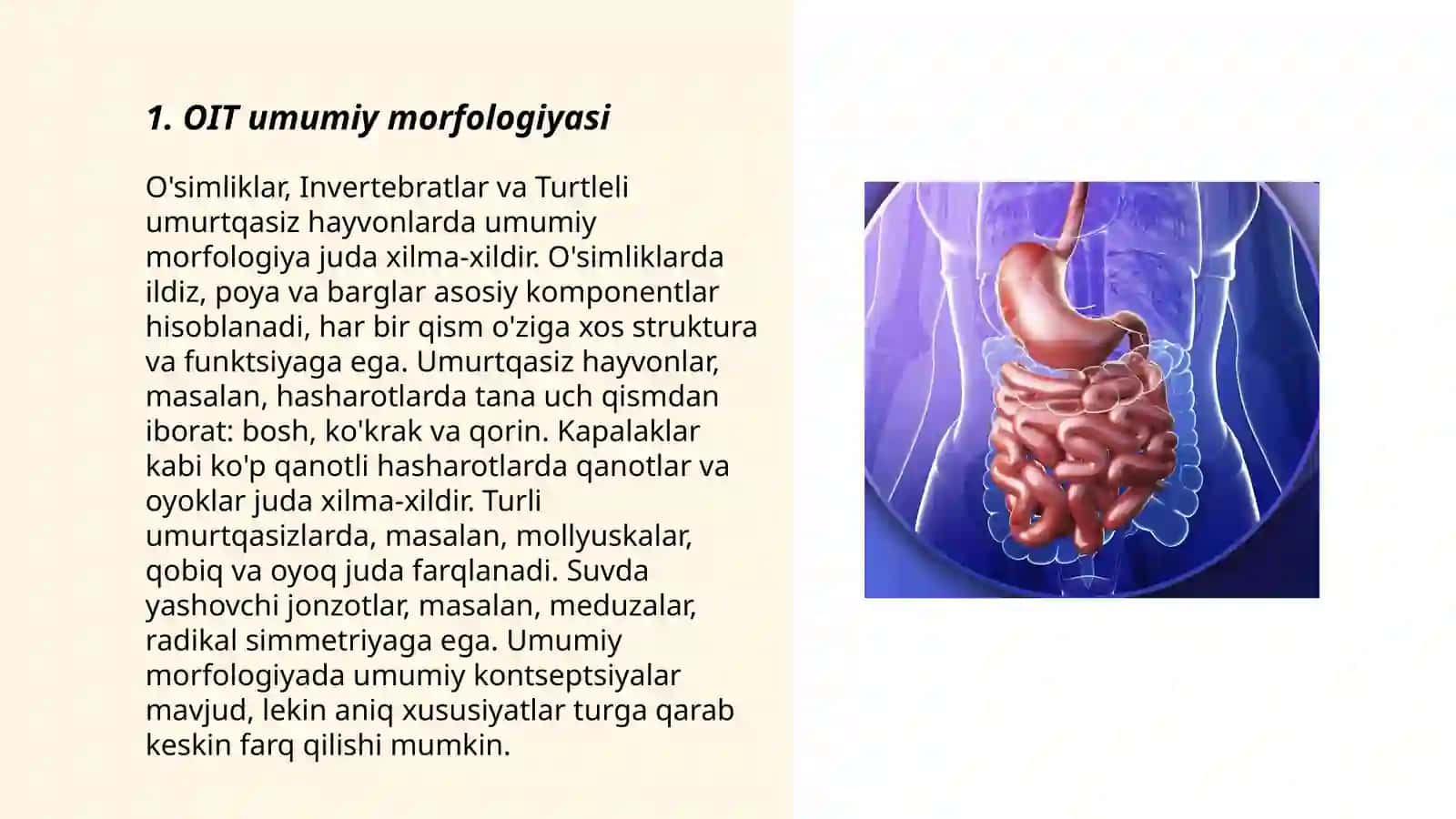OIT anatomo-fiziologik xususiyatlari 3