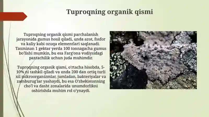 Tuproq shunoslil tuproq tarkibi va uning shakllari 3
