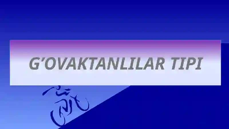 Mo’minova Nodiraning Zoologiya fanidan mustaqil talim topshirig’i 3