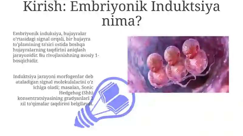 Ikkilamchi embrion induksiyalari va ularning mexanizmlari 3