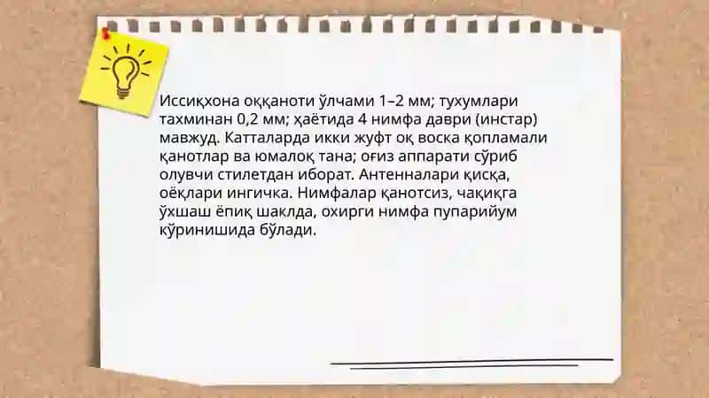 Иссиқхона оққаноти мофологияси зарари 3