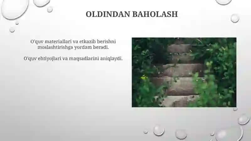 Takomillashtirilgan ilk qadam oʼquv dasturi 3