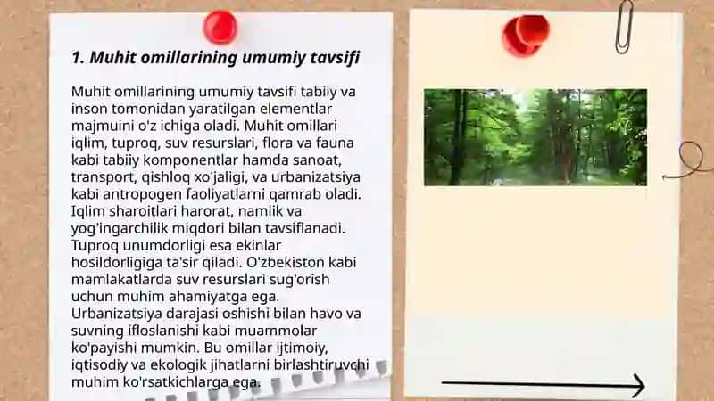 Muhit omillari va ularning tirik organizmlarga ta’sir 3
