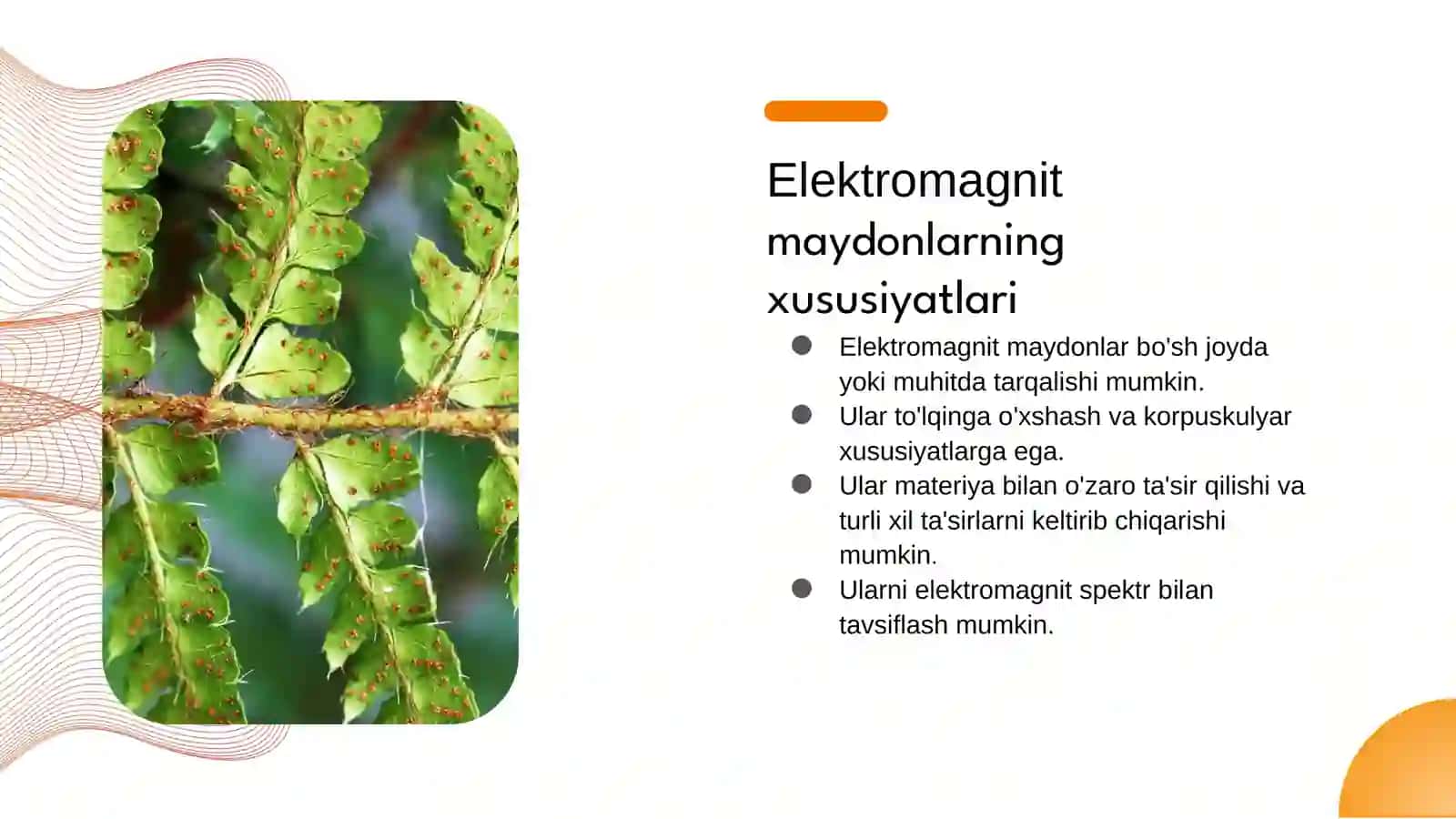 Elektromagnitmaydonlargakirish 3