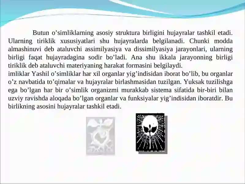 O’simlik hujayrasining fiziologiyasi 3