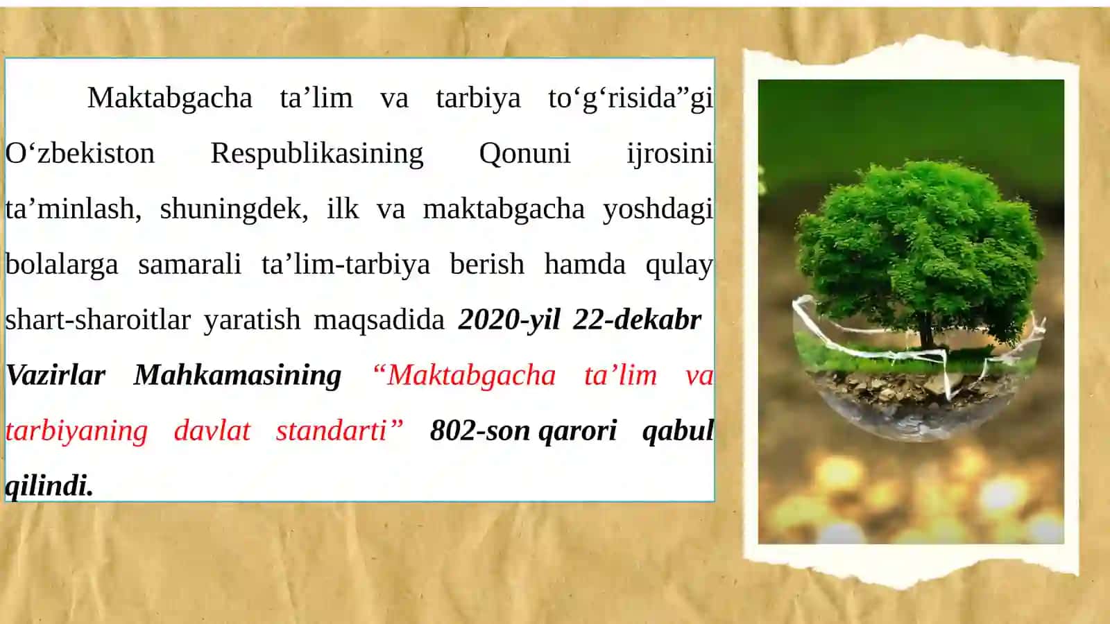 Maktabgacha ta’limga qo‘yiladigan davlat talablarining mazmuni 3