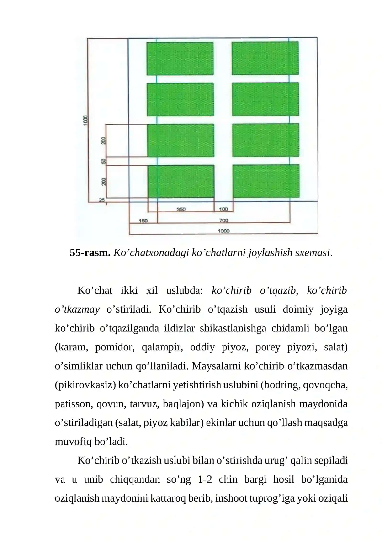 Issiqxonalarda ko’chat yetishtirish texnologiyasi 3