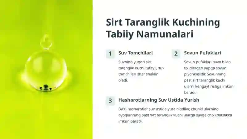 Sirt Taranglik Kuchi: Tibbiyotdagi Ahamiyati 3