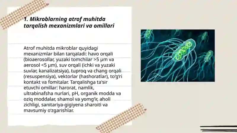 Sanitar mikrobiologiya 3