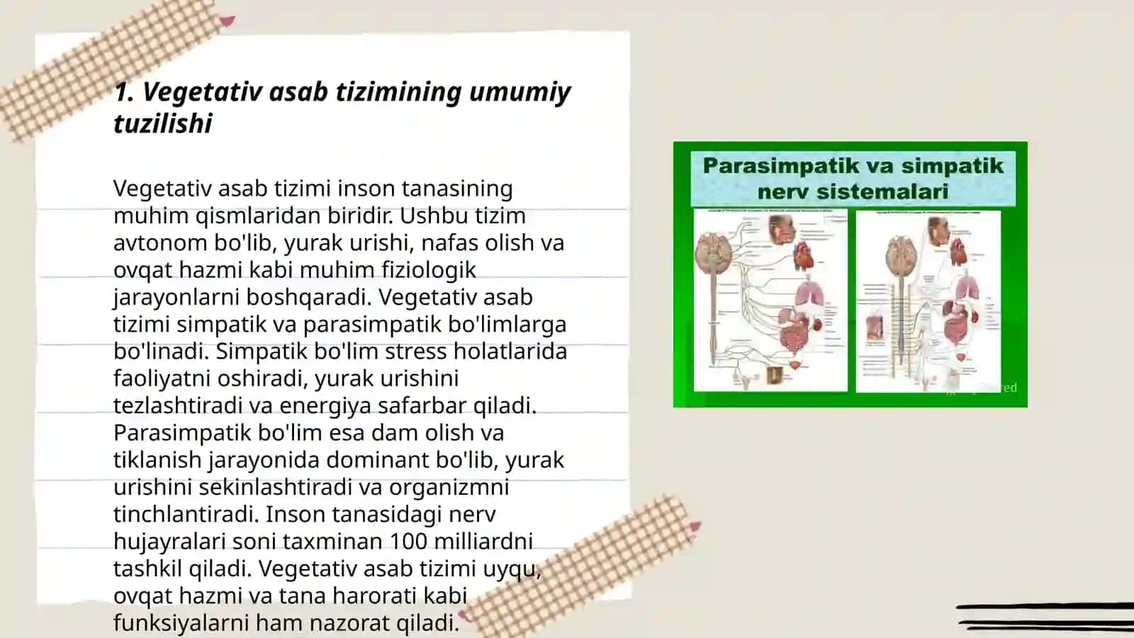 Vegetativ asab sistemasini oʻrganish.Avtonom asab tizimi,simpatik, paradimpatik va metasimpatik asab tizimi.Buyrak usti bezi magʻiz qavati fiziologiyasi 3