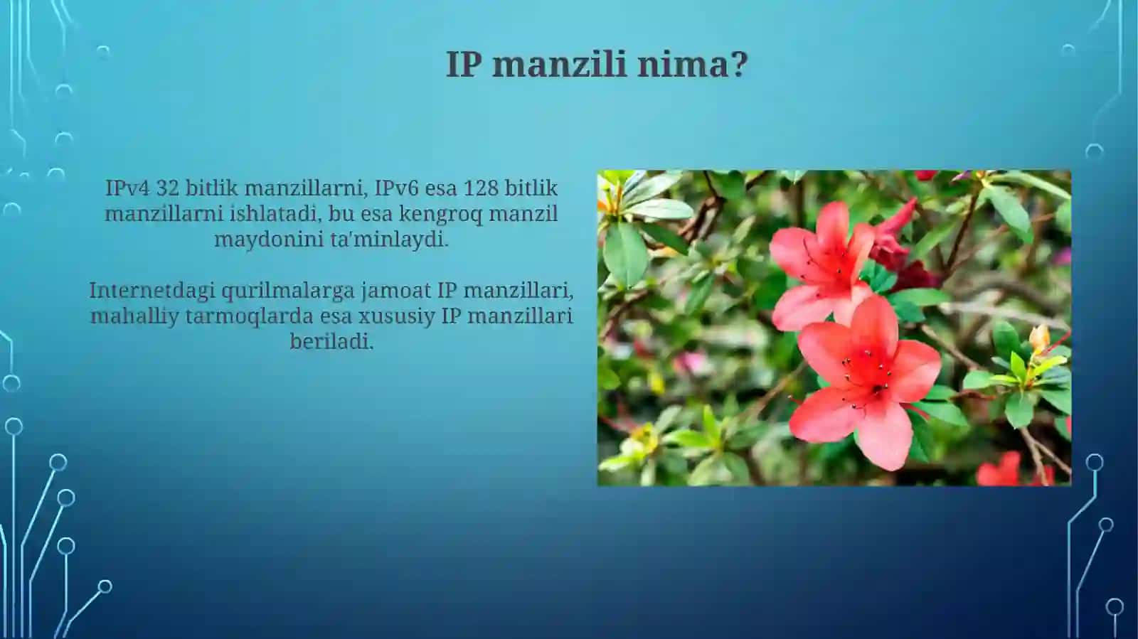 IP manzillari va ularning turlari 3