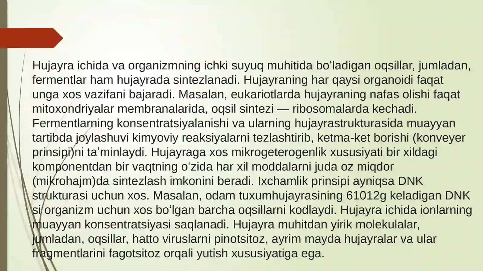 Hujayra tuzilishi 3