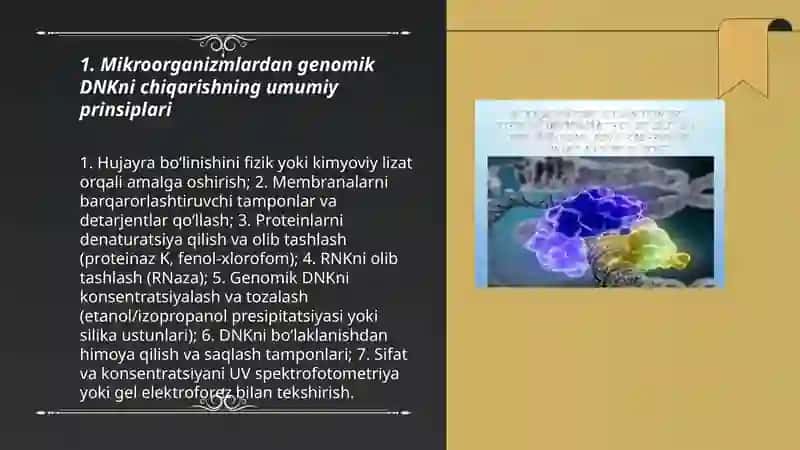 Mikroorganizmlardan genomik DNKni ajratib olish usullari 3