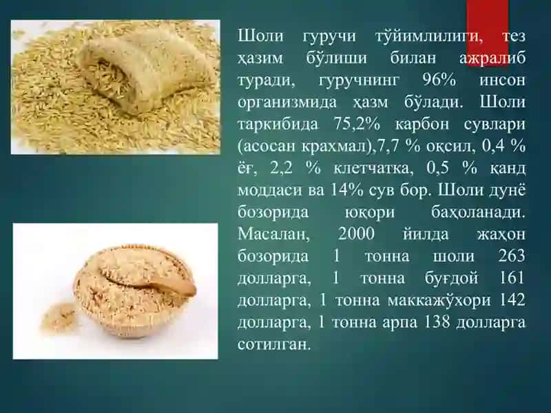 Шоли биологияси ва етиштириш технологияси 3