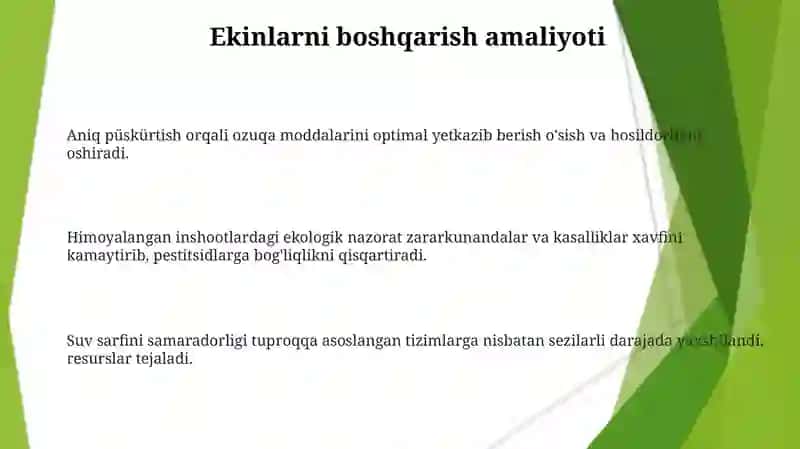 Aeroponika usulida savbavotlarni yetishtirish texnologiyasi 3